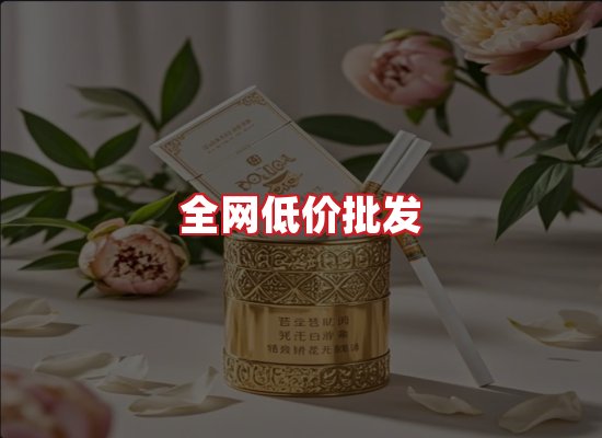专业团队